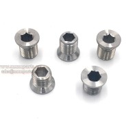 Stainless Steel Screws